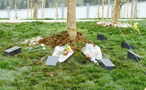 绿色生态殡葬将成为墓葬新趋势 